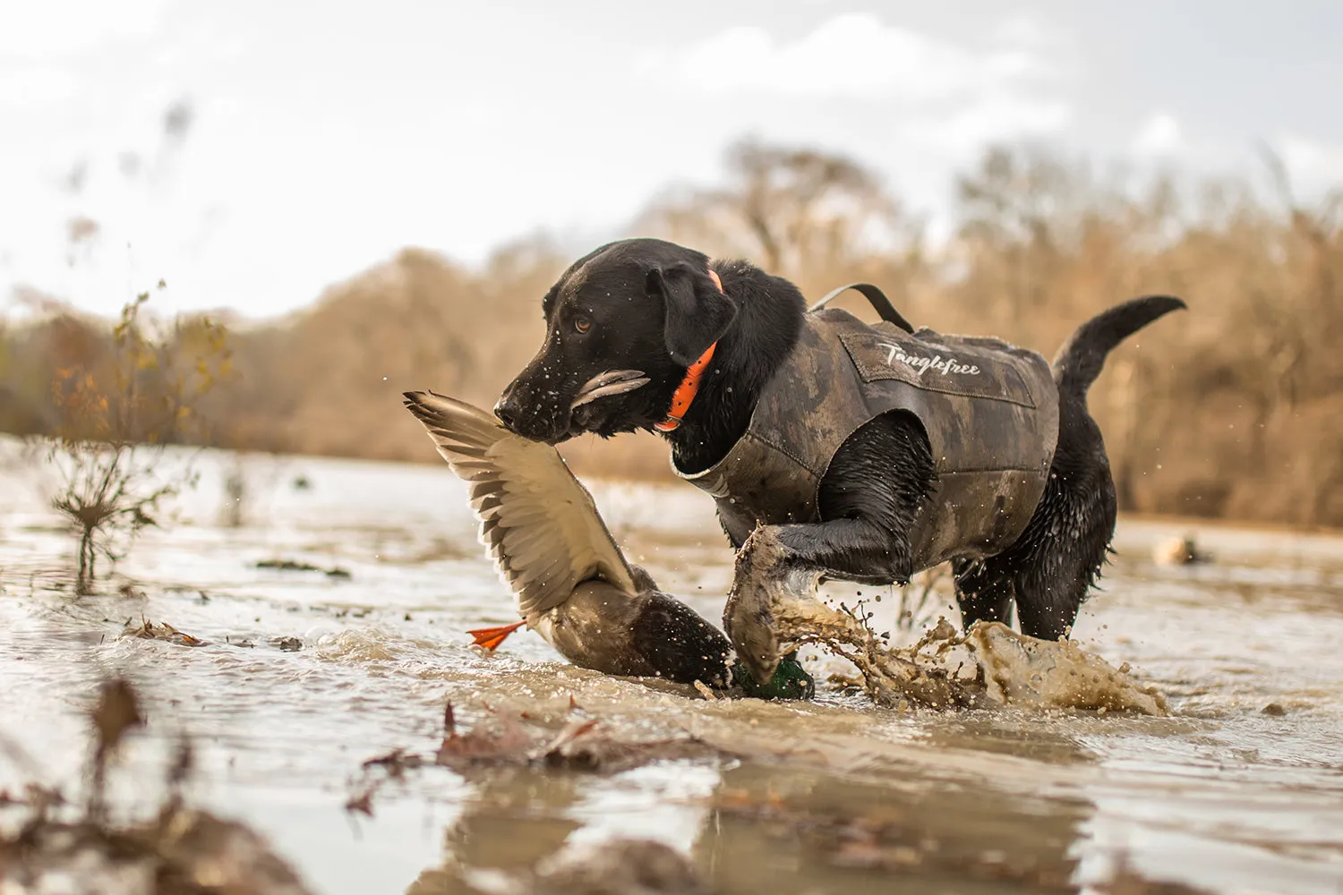 Flight Series Dog Vest - Optifade Timber